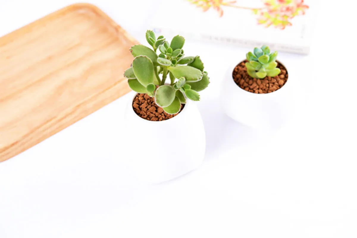 Белый керамический цветочный горшок I pc в форме зубца современный дизайн модель