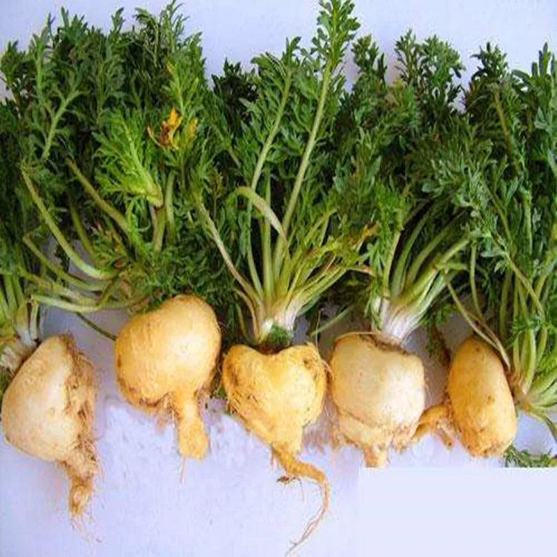 100-1000 г натуральная мака, экстракт порошка Lepidium meyenii 30: 1, чистый корень Маки 30: 1 экстракт порошок, экстракт маки, здоровая энергия