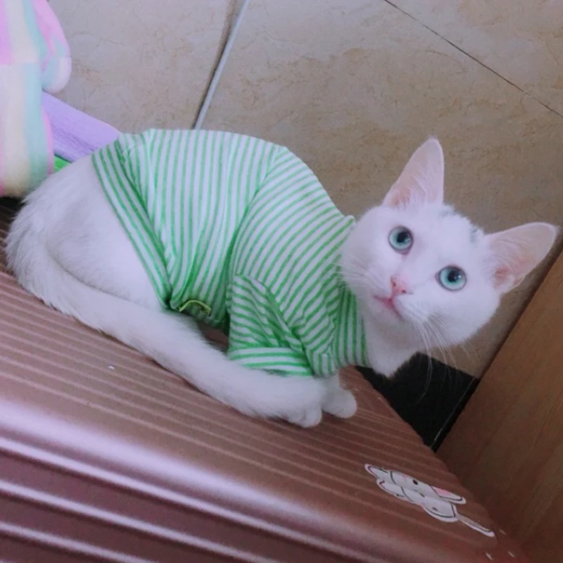 Хлопок кошка жилет с рисунком кота Одежда для кошек одежда любимцы котята