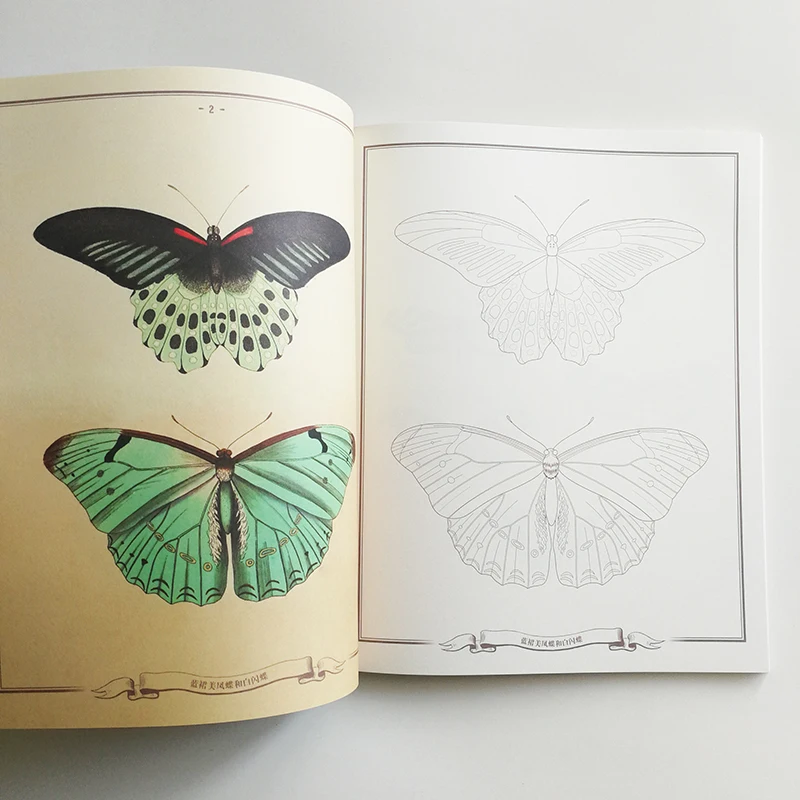 Бабочки ходите в парк с книгой раскраской для детей/взрослых китайская версия