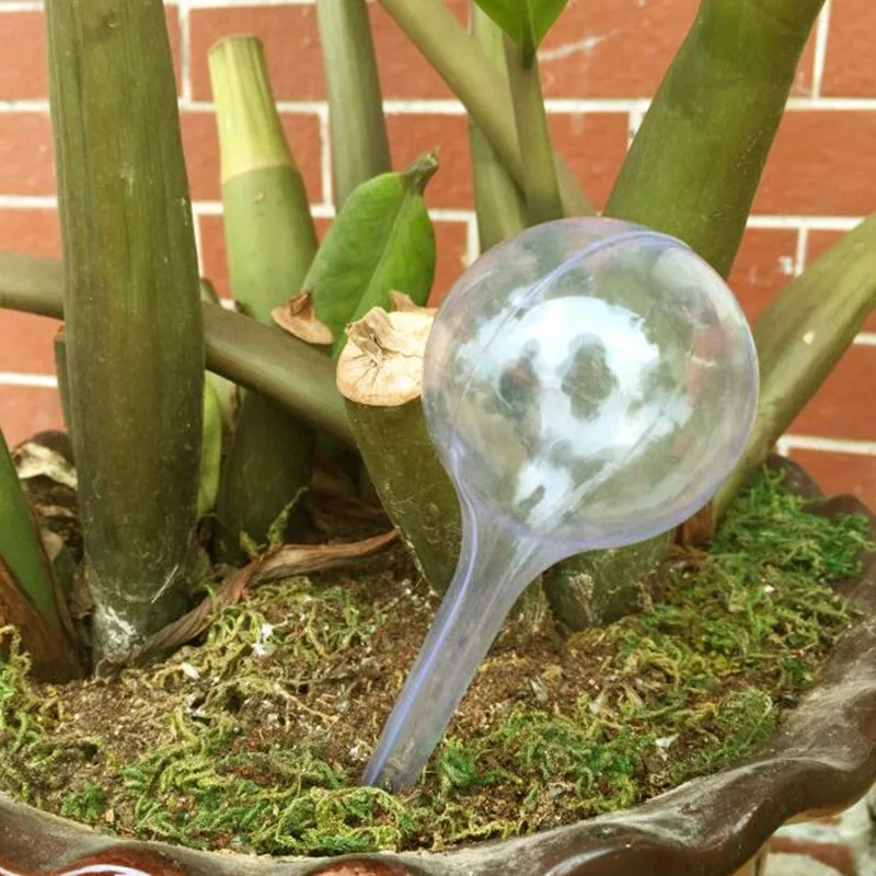 10 шт. пластиковые мини Бутылочки для растений с автополивом|bottle heart|bottle suppliessupplies