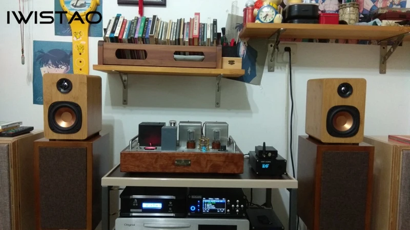 IWISTAO HIFI 4 дюймовый Полнодиапазонный динамик пустой шкаф инвертированный 1 пара