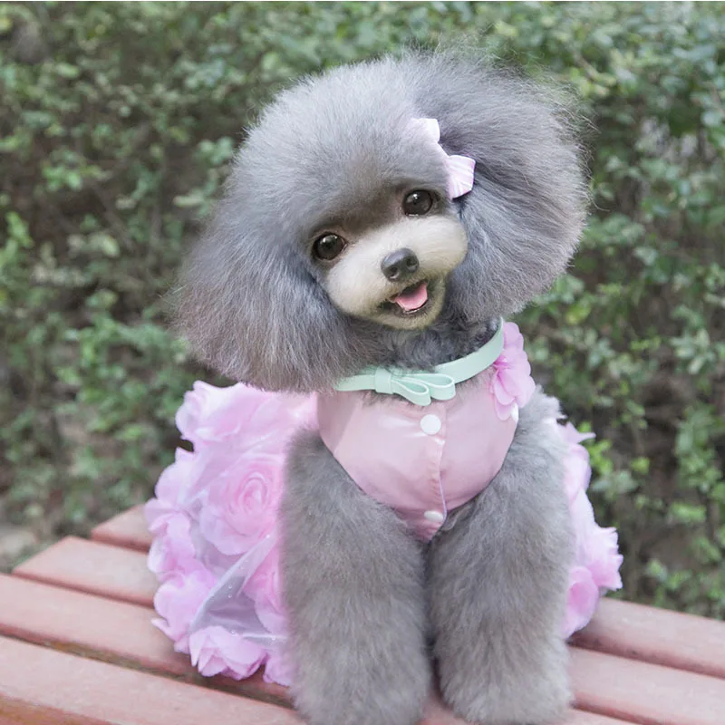 2016 платье для собак новейшие дизайнерские кружевные платья домашних животных