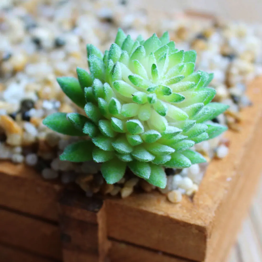 Украшение для дома искусственные реалистичные суккуленты цветок ПВХ Растения