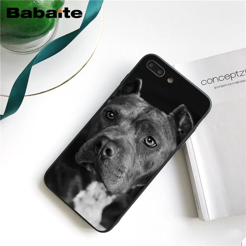 Babaite питбуль прекрасный питбуль чехол для телефона чехол для iphone 11 Pro 11Pro Max X XS MAX 6 6s 7 7plus 8 8Plus 5S SE XR