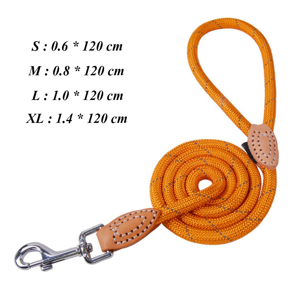 Hook Leash Orange Поводок для собак для больших собак поводки для домашних животных однотонный нейлоновый поводок для щенка для маленьких собак базовый поводок для домашних животных для собачьи продукты Домашние животные PY0237 - Цвет: Hook Leash Orange