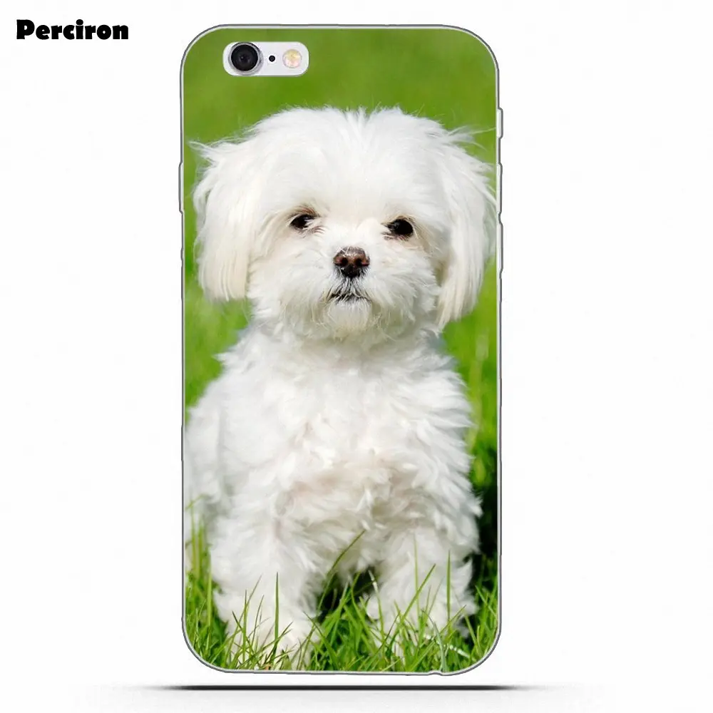 as picture Perciron мягкий чехол для Huawei P7 P8 P9 P10 P20 P30 Lite Mini Plus Pro Мальтийская болонка - Цвет: as picture