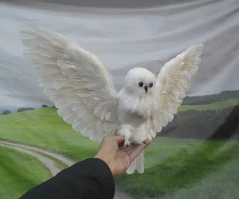 Искусственная Сова перья птица 30x60 см расширительные крылья сова модель ремесло