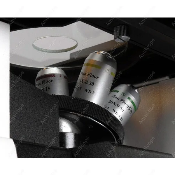 Культура перевернутый флуоресцентный микроскоп AmScope поставки 40x 1000x план фаза