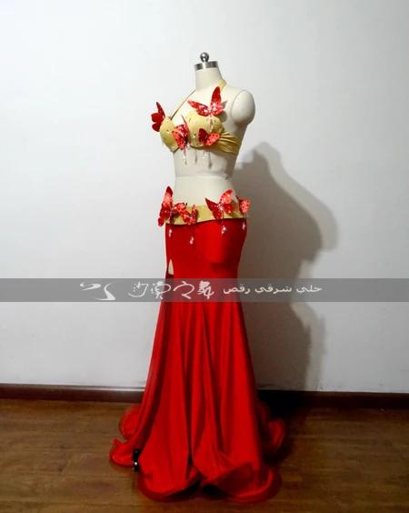 Oriental dancing costume Belly dance hair swinging Indian Egyptian costumes Bellydance clothes bra belt skirt dress 3046 | Тематическая