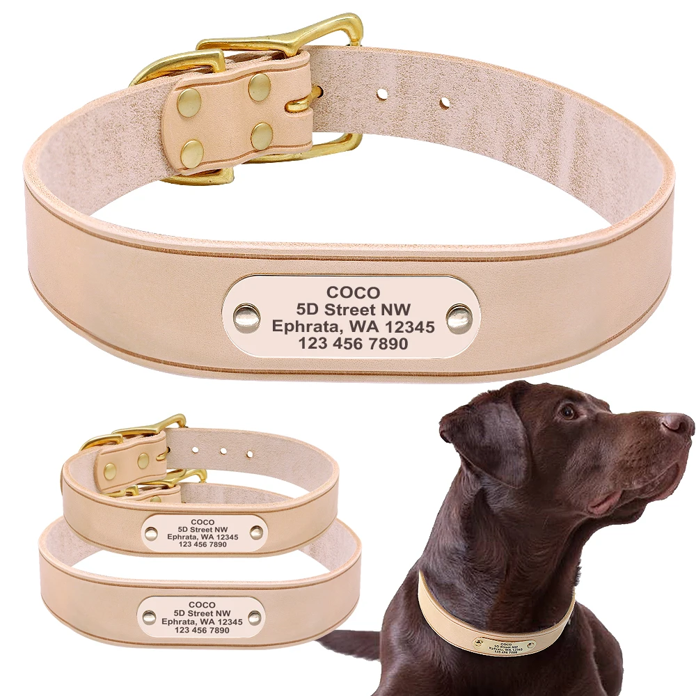 

Personalized Dog Collar Velvet Leather Soft Custom Dog Collars Elegant Pet Collars for Pitbull Medium Large Dogs L XL