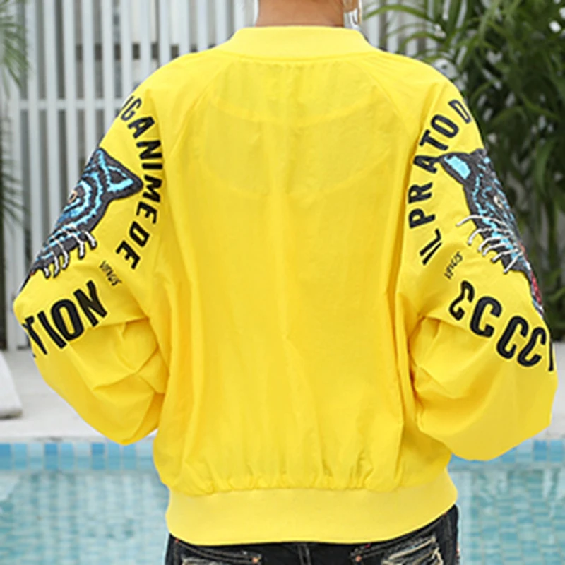 Новинка 2019 куртка бомбер на весну и осень Женская Стандартная с длинным рукавом