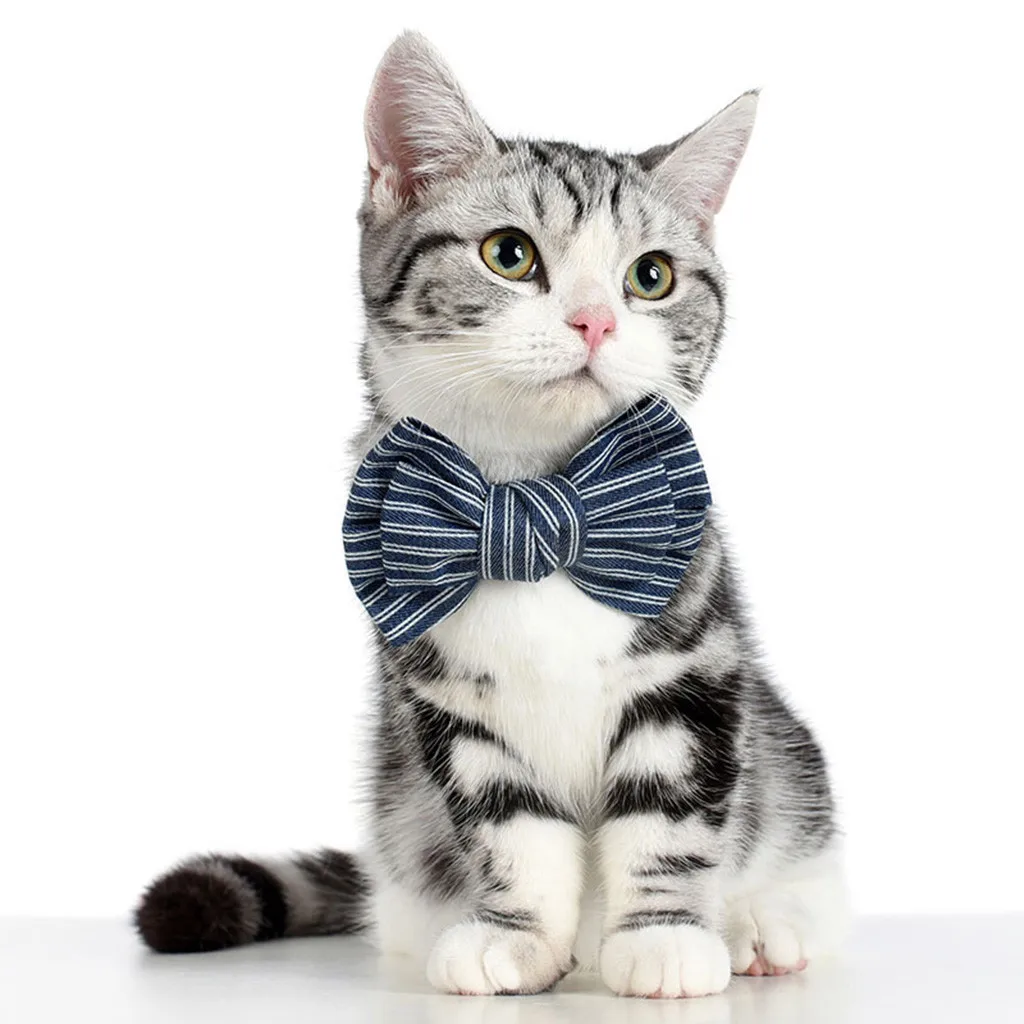 Прямая поставка Регулируемый ковбойский галстук бабочка для собаки воротник