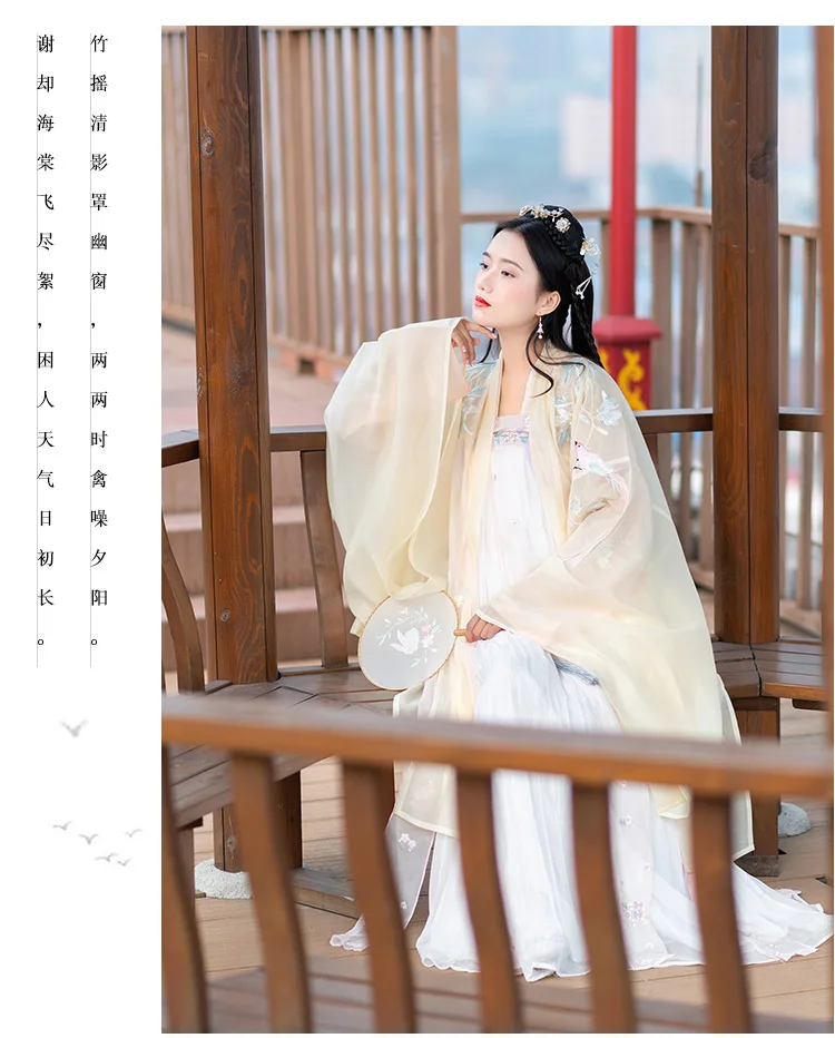 Hanfu Женский длинный рукав вышивка костюм Хана элемент династии Тан традиционный костюм Юбки феи платье принцессы для взрослых DN3508