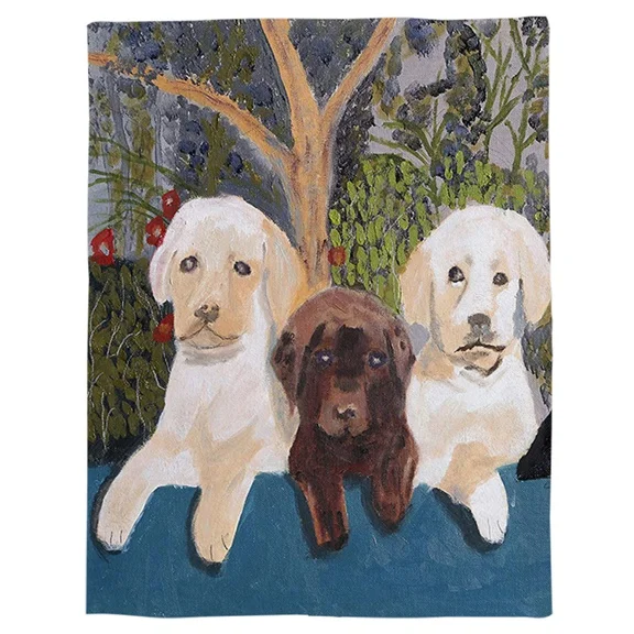 LJS00405 Jolly Corgis в зеленом пледы одеяло, домашнее украшение собака и Кость Теплый микрофибры одеяло s для спальни - Цвет: LJS00405