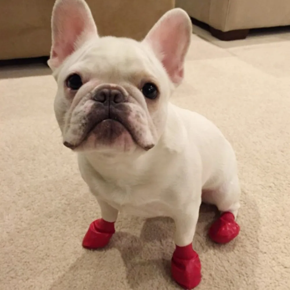 Ботинки для домашних животных Let's Pet водонепроницаемые резиновые ботинки от