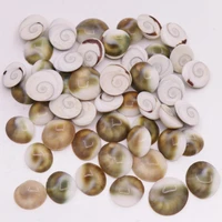 50 pcs 12mm 18mm button sun shell natural mother of pearl charms pendants