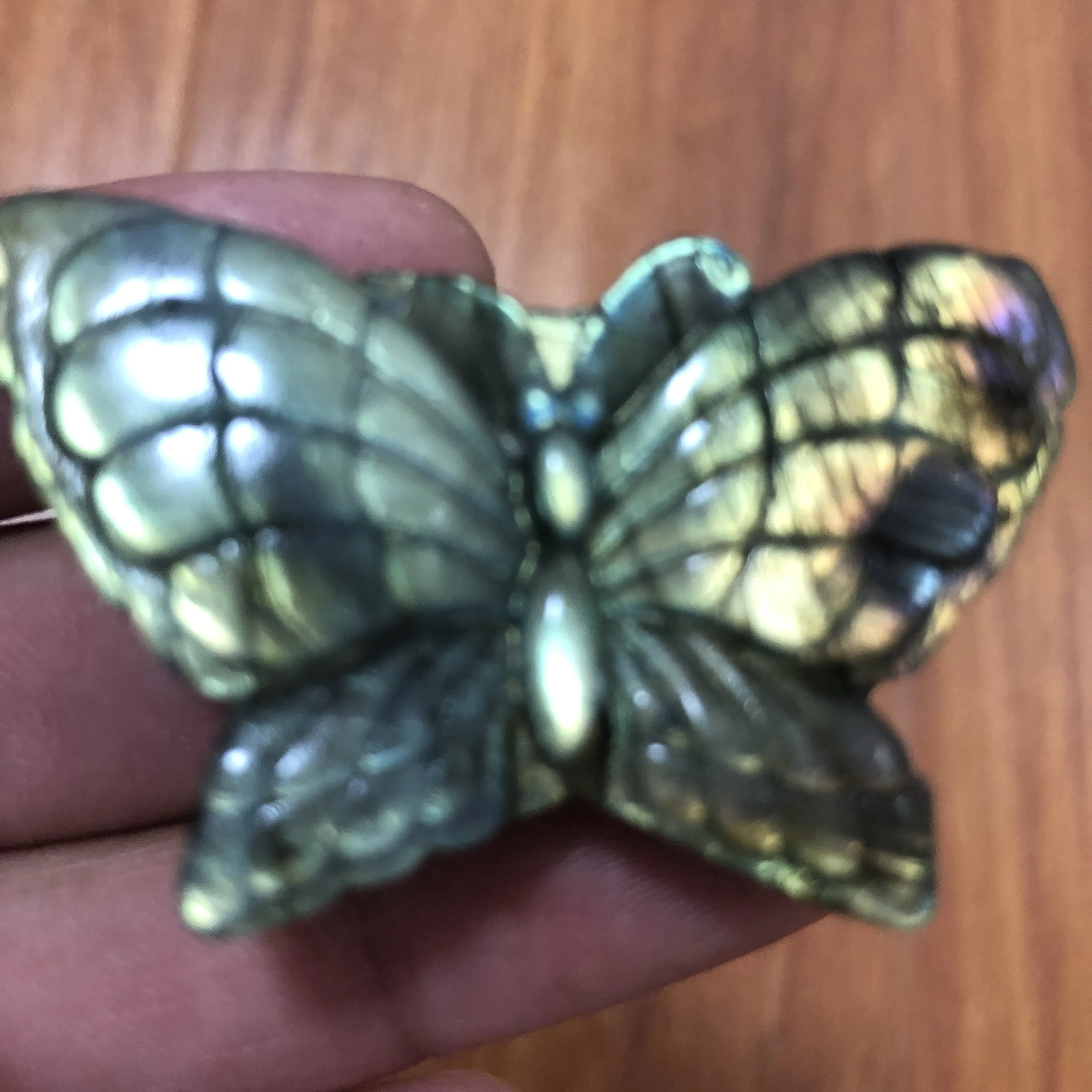 1pcs Muito raro rico gemas naturais labradorite esculpida borboleta azul | Дом и сад