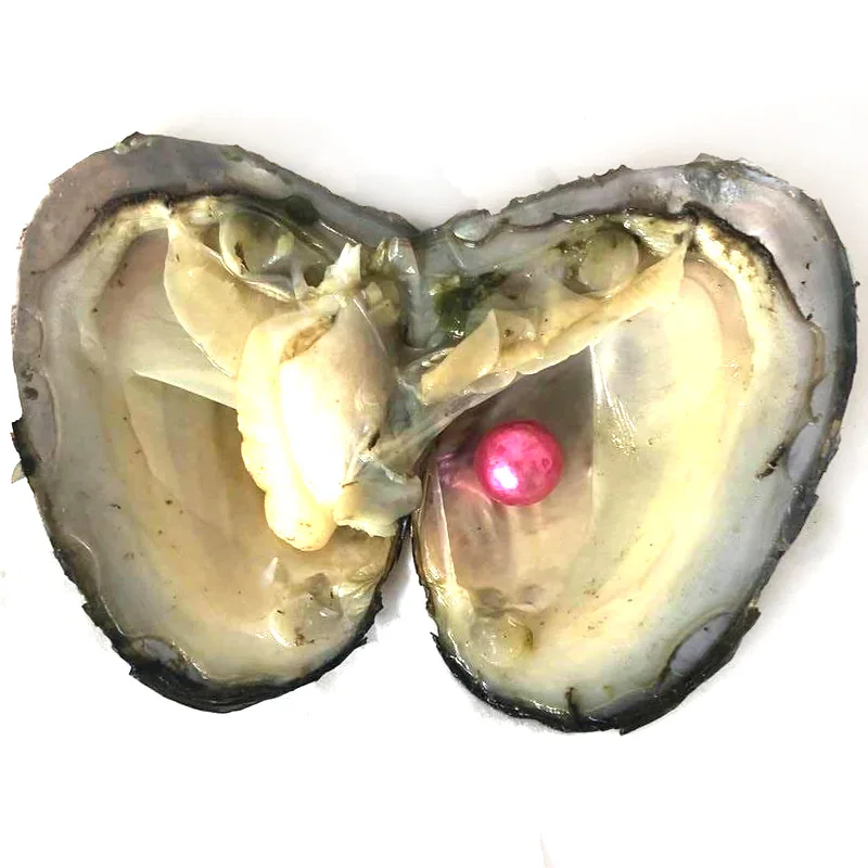 20pcs Single Acid Blue 9-10mm Near Round Edison Pearl with Vacuum Packed Oyster Fresh Pearl in Oyster