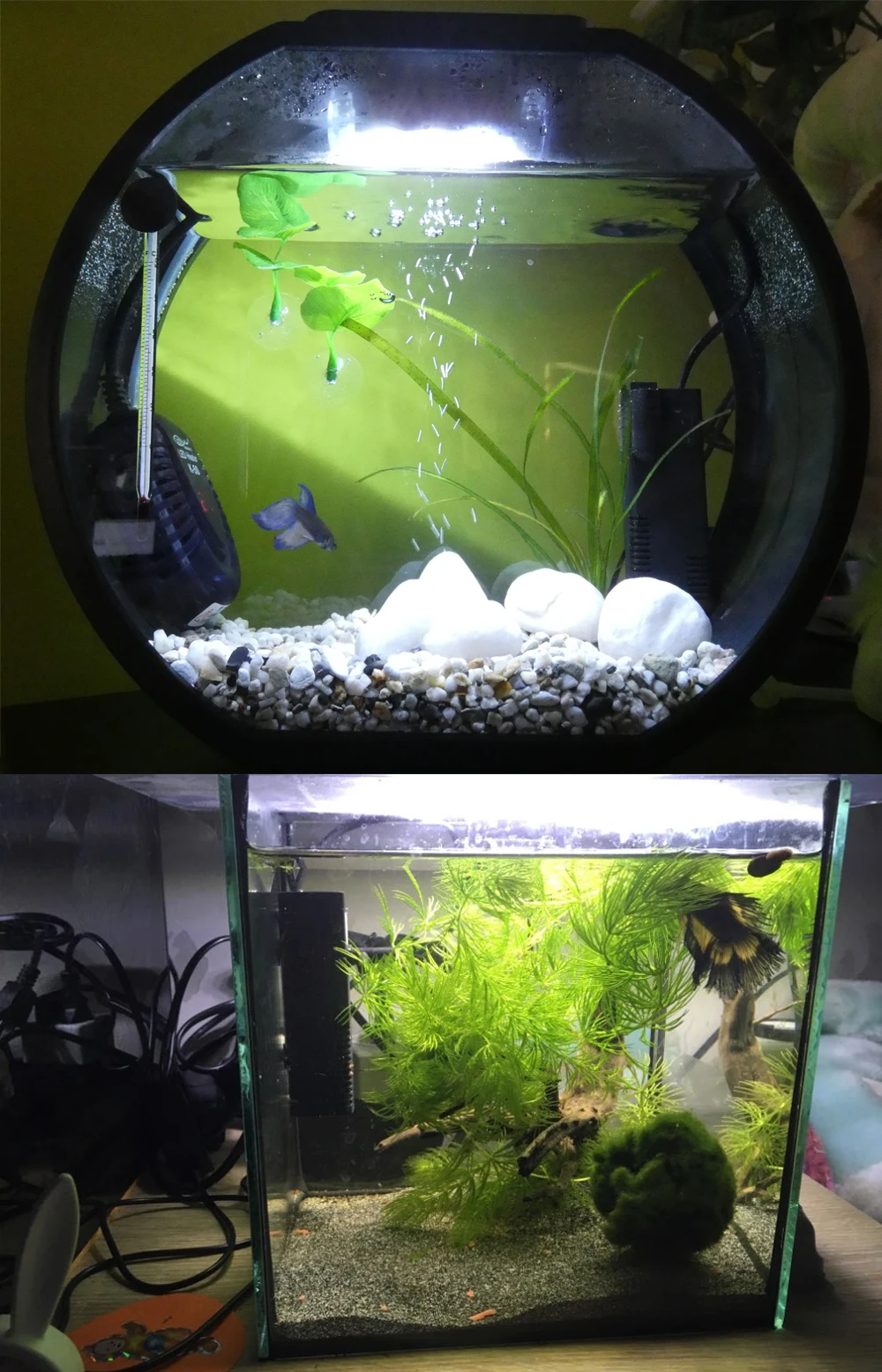 Погружной фильтр для аквариума, внутренний фильтр для аквариума, водный распылительный поток, биологический плюс сетевой фильтр, насос 3 Вт/4 Вт/8 Вт