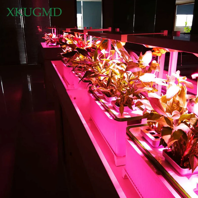 저렴한 XKUGMD-피토 램프, 풀 스펙트럼 LED, 240V, 클립 포함, 온실, 수경, 야채, 꽃