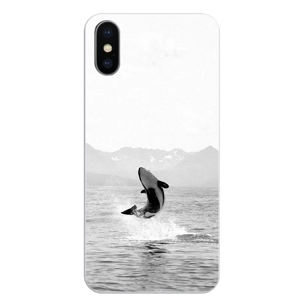 Силиконовый чехол для телефона Killer Whale Orca случайное вдохновение Apple iPhone 4 4S 5 5S 5C SE 6