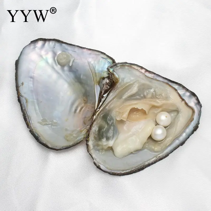 Белый Вакуумная упаковка пресноводных жемчужин Oyster Wish 8-9 мм жемчужин внутри оболочки для ювелирных изделий DIY серьги бусины и таинственный подарок - Цвет: Белый
