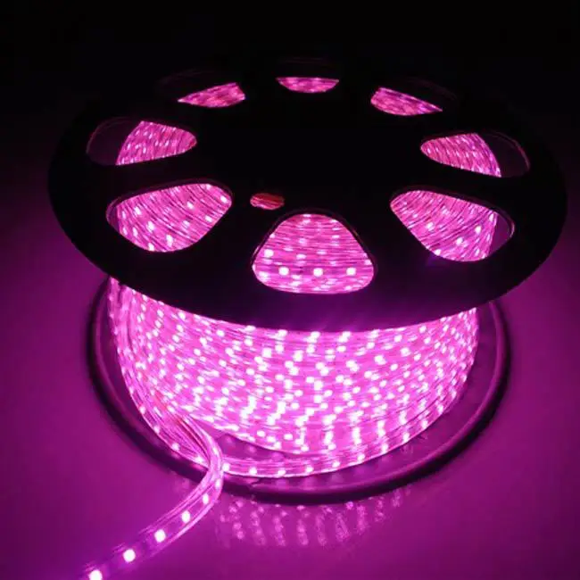 Светодиодный светильник s розовый/фиолетовый/теплый белый 5 м 300 светодиодный S