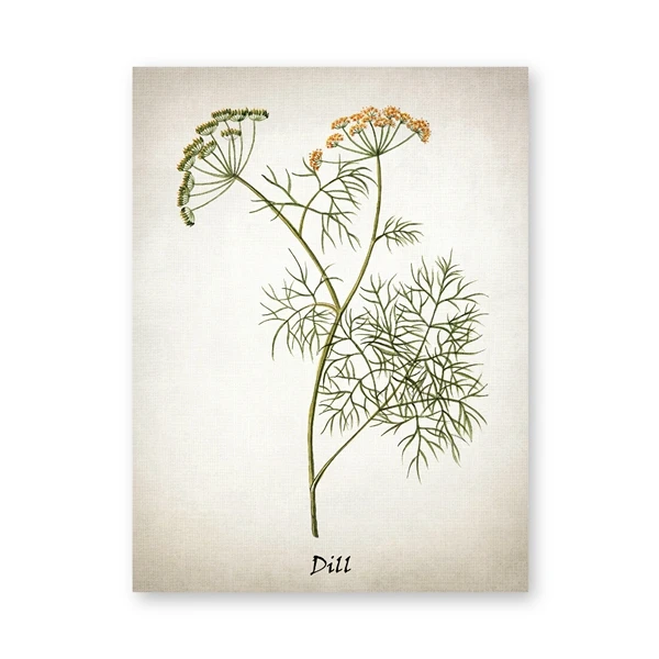 

Картина Yoolife "Травяные иллюстрации"