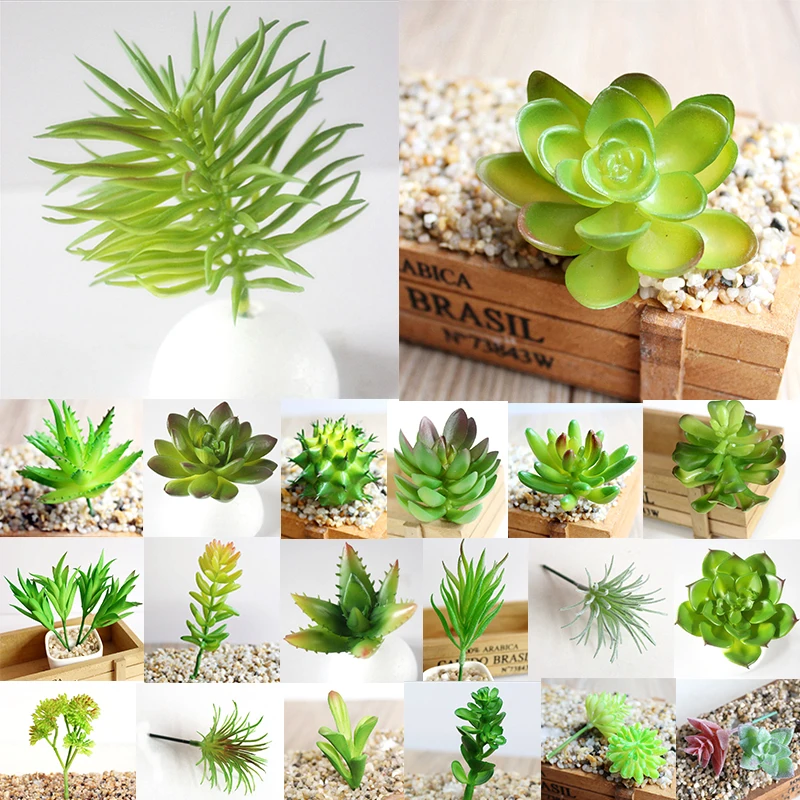1 шт. разнообразный миниатюрный суккуленты Моделирование Мини DIY пластик офисный Декор сад дом нежный