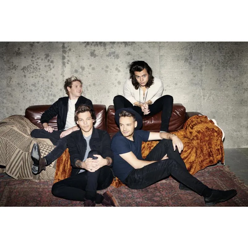 Хороший один плакат Direction печати из шелковой ткани с принтом плакатов ткань