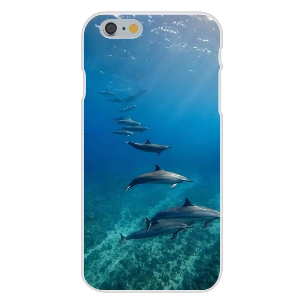 Милый синий дельфин море для Apple iPhone 4 4S 5 5C 5S SE 6 6S 7 8 Plus X XS Max XR Модный Дизайн чехол