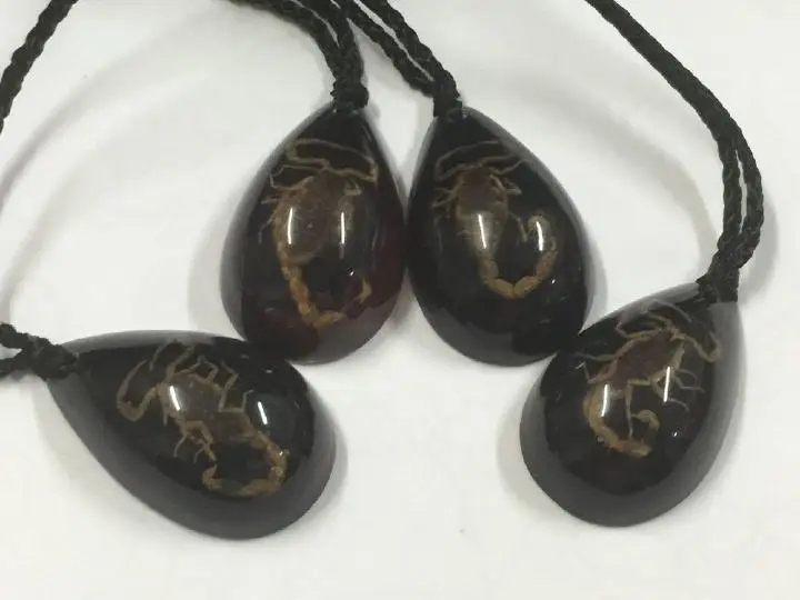 20 шт. индивидуальность Ретро таксидермия Новый настоящий черный золотой