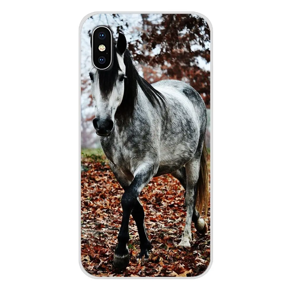 Для Apple iPhone X XR XS MAX 4 4S 5 5S 5C SE 6 6S 7 8 Plus ipod touch художественный плакат с лошадью