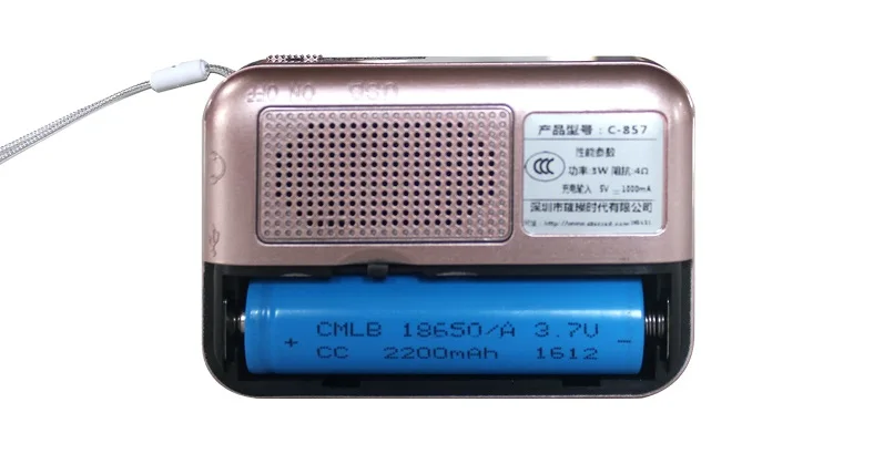 Перезаряжаемый портативный MP3 радио приемник fm радио с 18650 батареей поддержка USB флэш-диск TF карта MP3 плеер музыкальные файлы