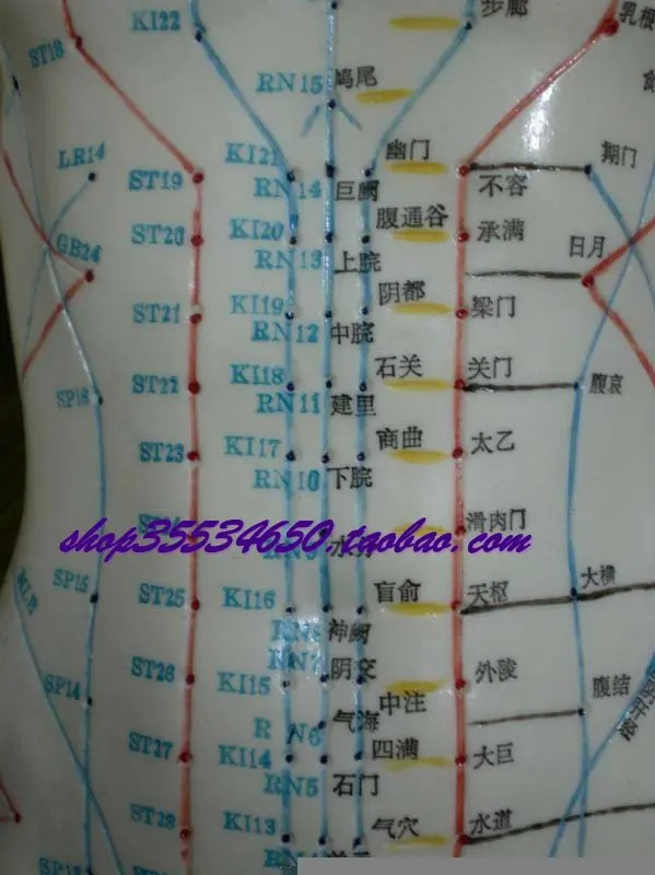60 см английско-китайская человеческая Акупунктура модель тела акупунктурные