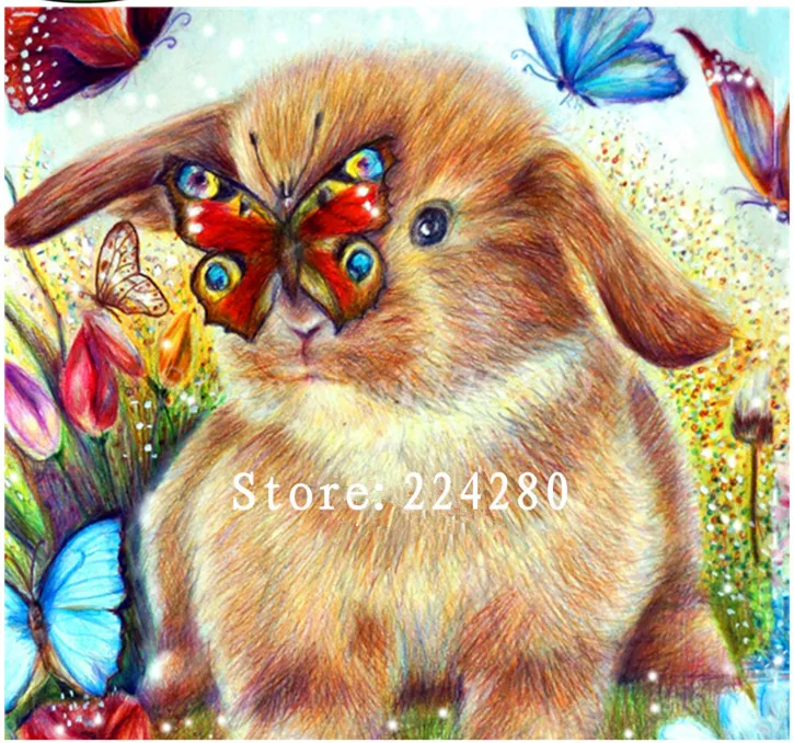 

Needlework,Handwork 14CT Embroidery Animal Cute Rabbit Butterfly Color DIY Aida Cross stitch kits,Art Cross-Stitching Home Decor