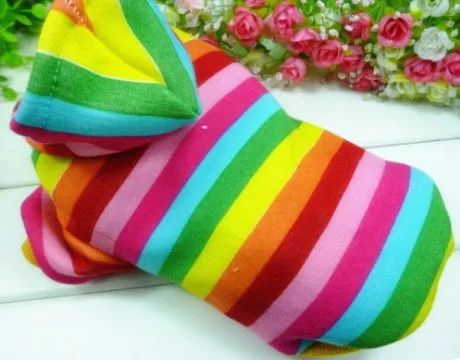 Осень и зима собак толстовка с капюшоном пальто красочные полосы радуга клубника