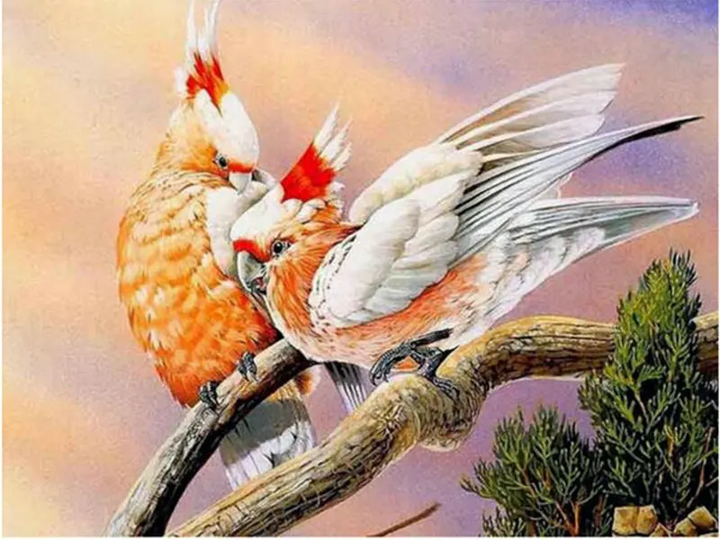 

МГД Алмазная вышивка Two birds 5D Алмазная вышивка крестиком с украшением в виде кристаллов Алмазная декоративная мозаика Diy алмазная живопись