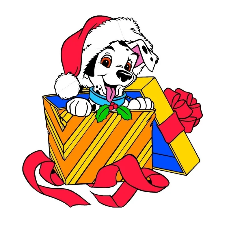 

Special Gift for You