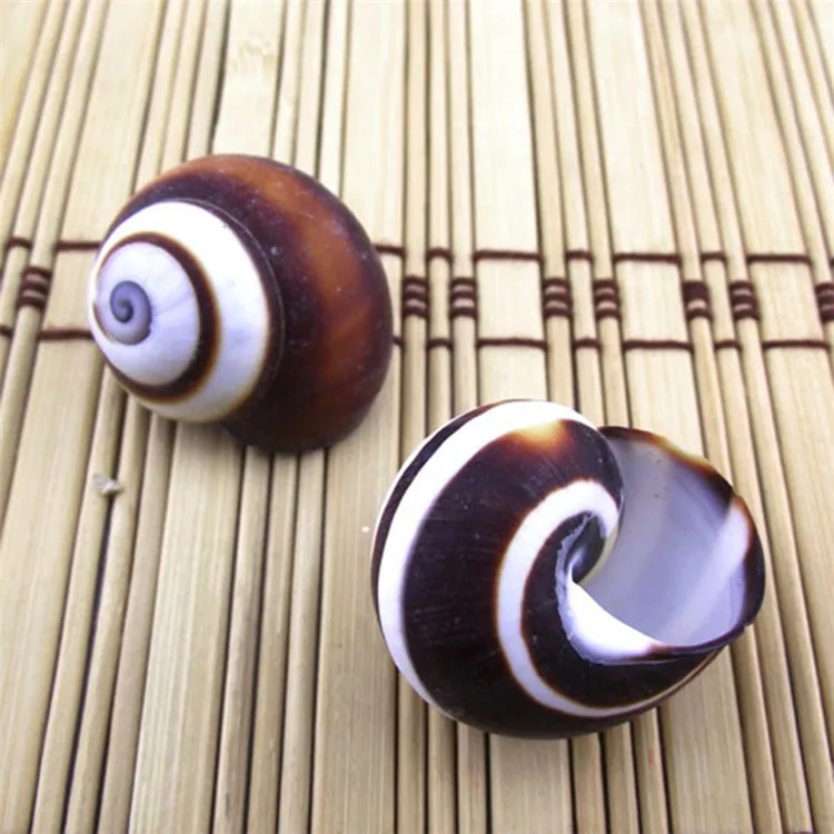 Коричневый винт для хлеба 2 5 см настольный аквариум рыбы свадебное устройство