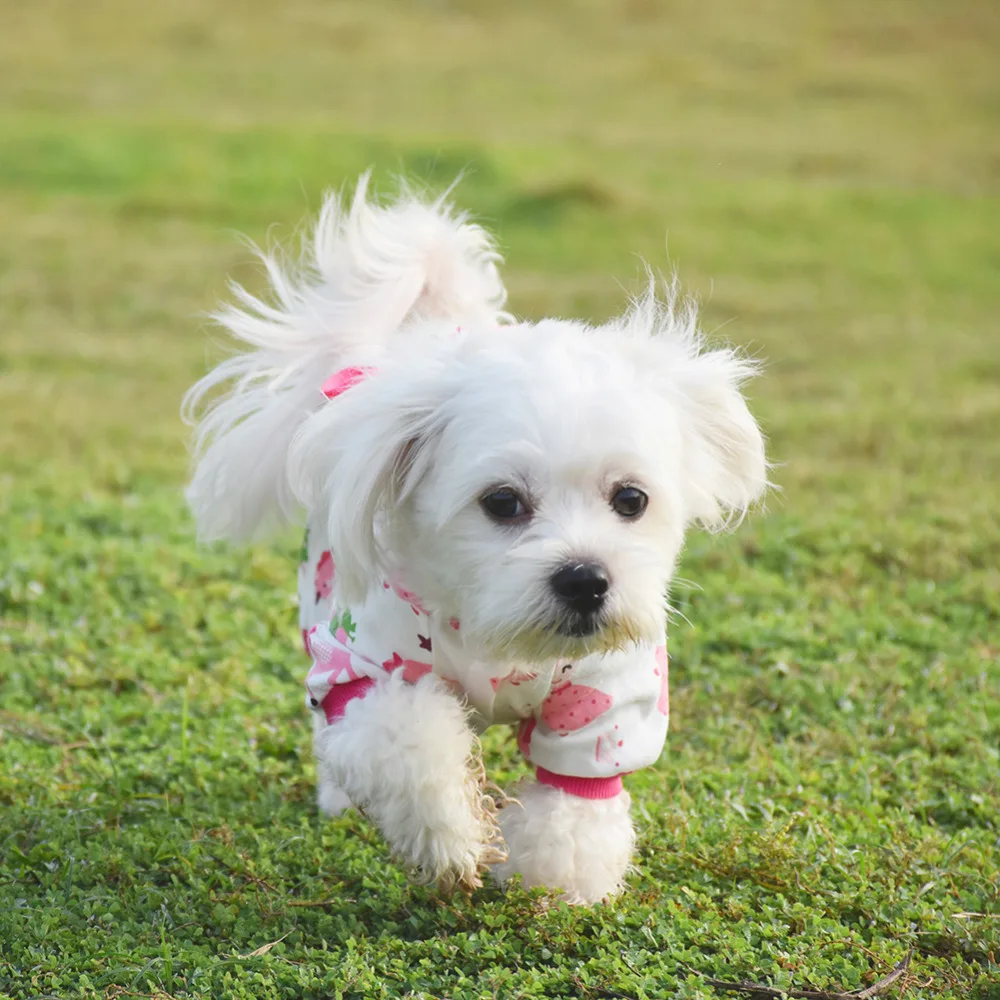 Хлопковые пижамы для собак милых домашних животных ночная рубашка 5 размеров 3