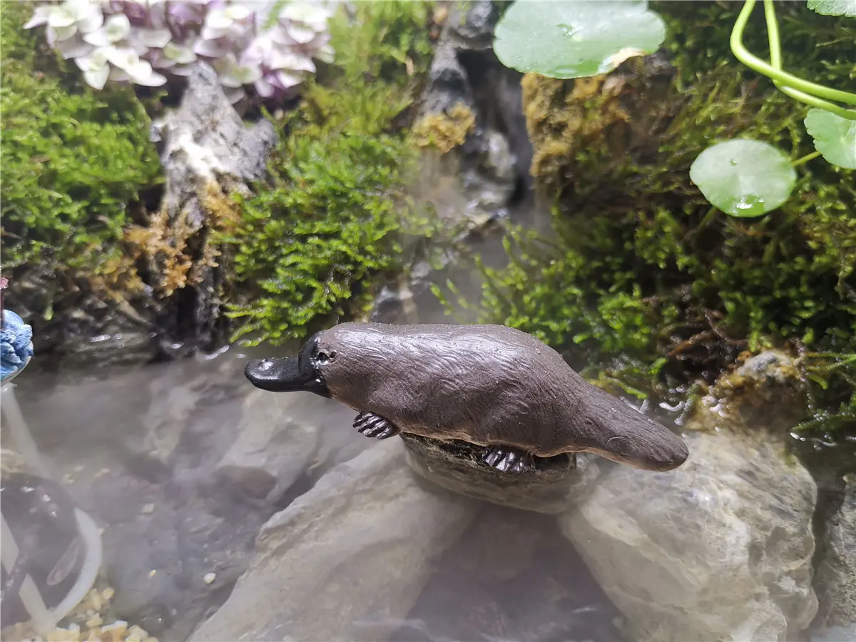 PNSO 5 шт. океанийские животные модель кенгуру коала Platypus рисунок дети мальчики игрушка Декор подарочный набор обучающая коллекция образовательный Декор