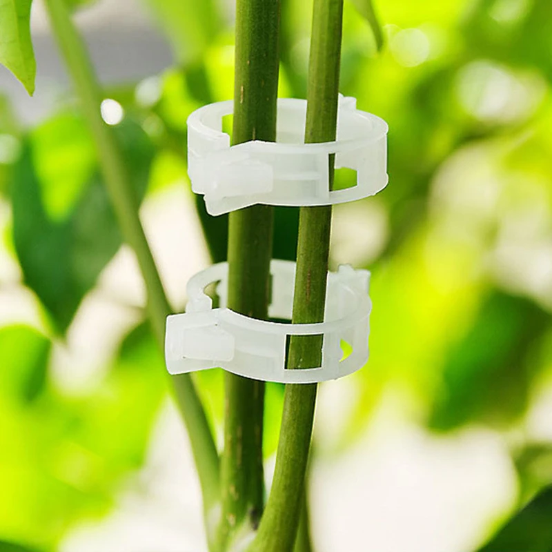 50/100 шт томатные зажимы садовые растения цветок растительное переплетение шпагат