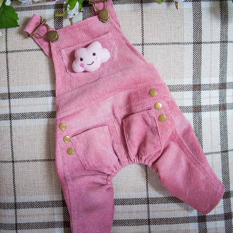 Осенне-зимние комбинезоны для собак платье с двумя рисунками одежда милый