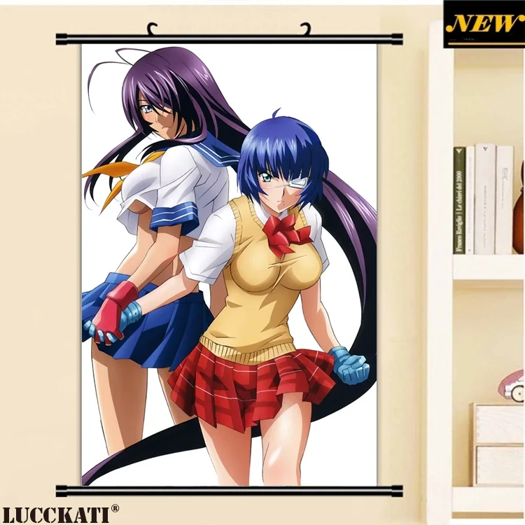 40X60 см Ikkitousen battale Vixens Shiozaki Yuji серия квитанция мультфильм аниме Настенная картина прокрутки холст живопись плакат - Цвет: D