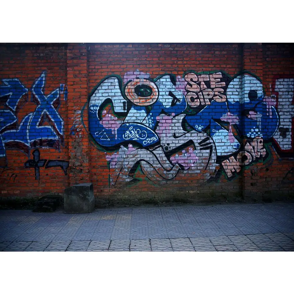 

Фон с изображением граффити на стене виниловый тканевый фон для фотостудии фон для фотосъемки Фоны для фотосъемки новорожденных и детей для студийной съемки с изображением пляжа детский фон для фотосъемки съемки