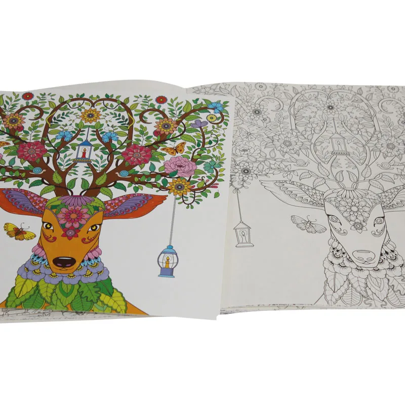 Принцесса Тайный сад книжка раскраска для детей и взрослых снимает стресс