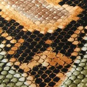 Orange Snake print ; Suphini; пикантные танцевальные сапоги со змеиным принтом; женские танцевальные сапоги в Аргентине - Цвет: Orange Snake print