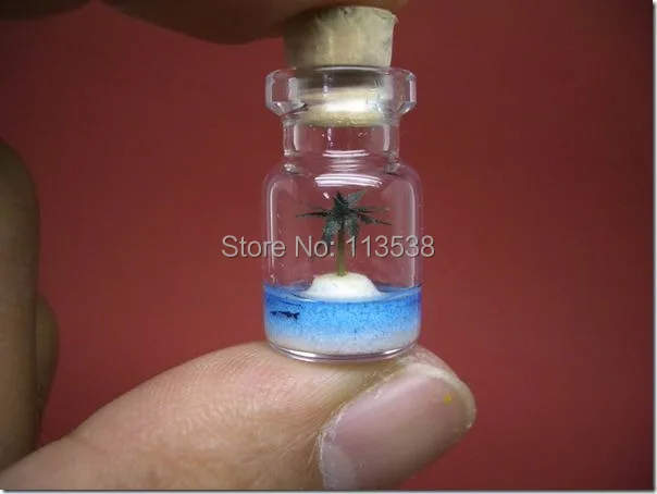 Free ship 24*12*6mm mini Glass Bottle Pendant With Cork &amp Eyehook (perfume/bottle/vial/wish/charm/bottle) Not the same style | Украшения